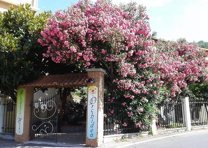 Orchidea * Finale Ligure