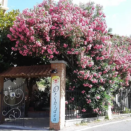 Orchidea * Finale Ligure